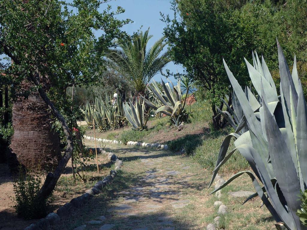 Skites Hotel Bungalows Ouranoupoli Exteriör bild